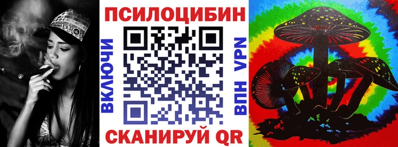 Галлюциногенные грибы Psilocybine cubensis  Берёзовский 